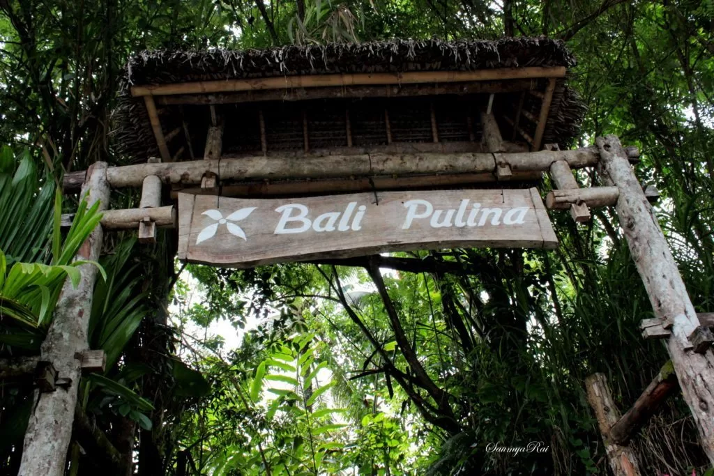 Bali Pulina 咖啡体验园 环境或菜品参考 2